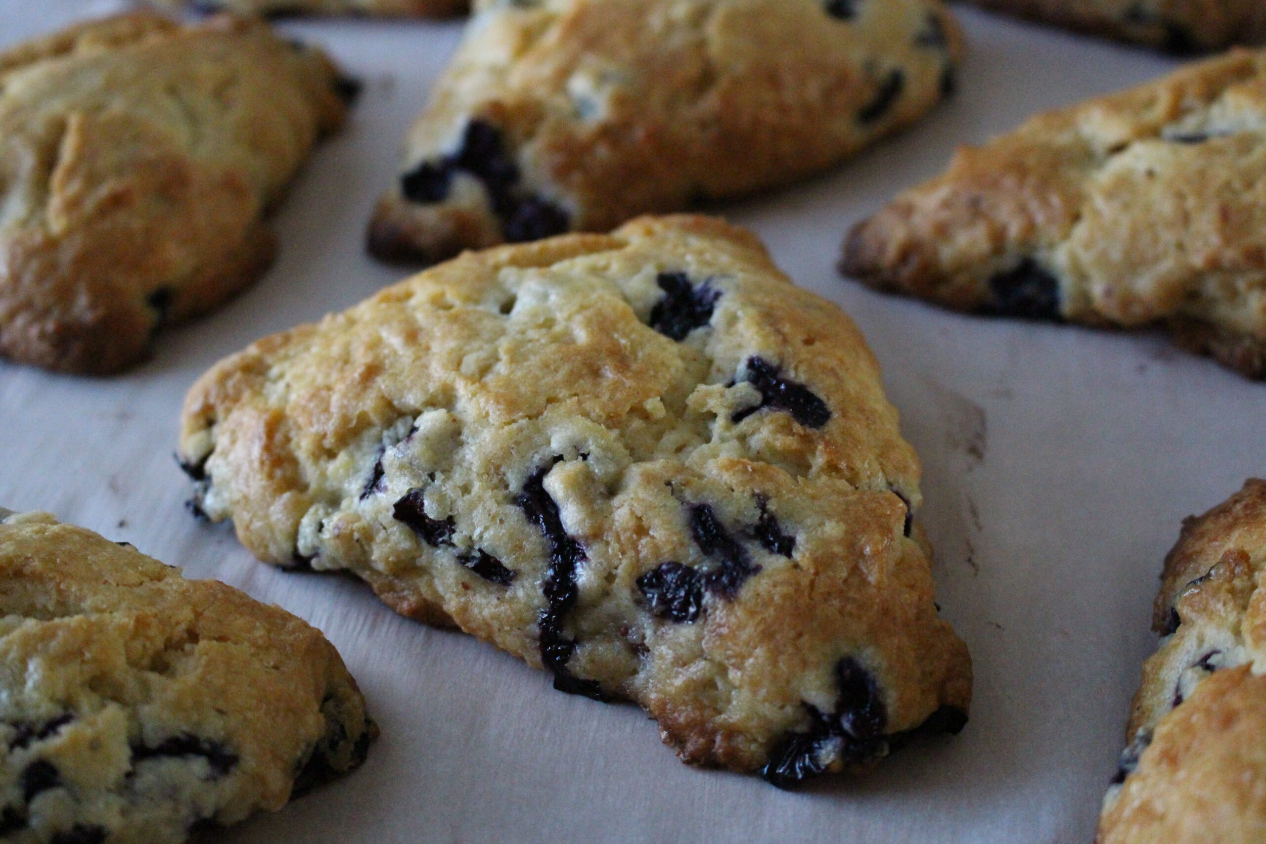 Blueberry Scones (with Lemon Icing)