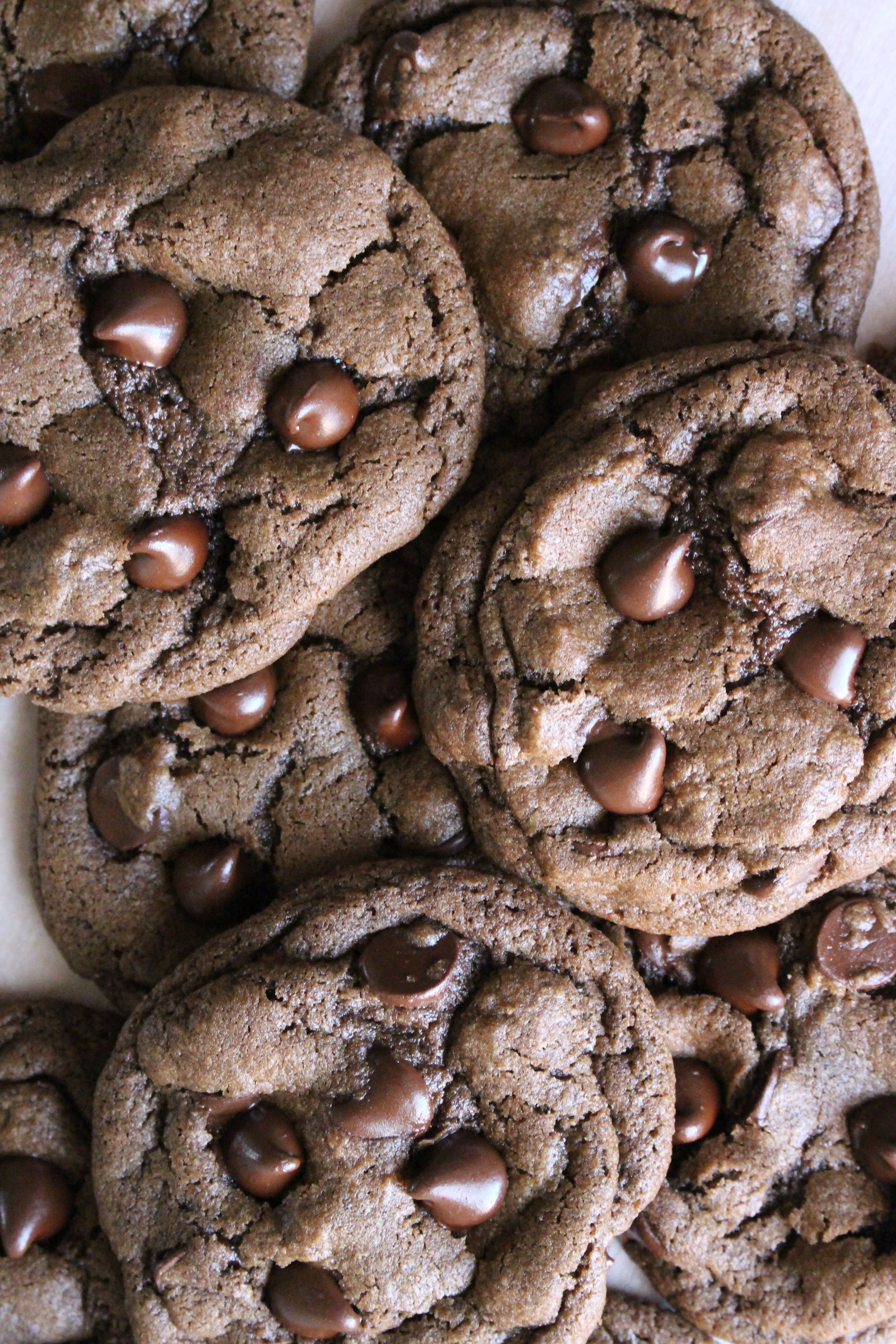 Chewy Double Chocolate Chip Cookies