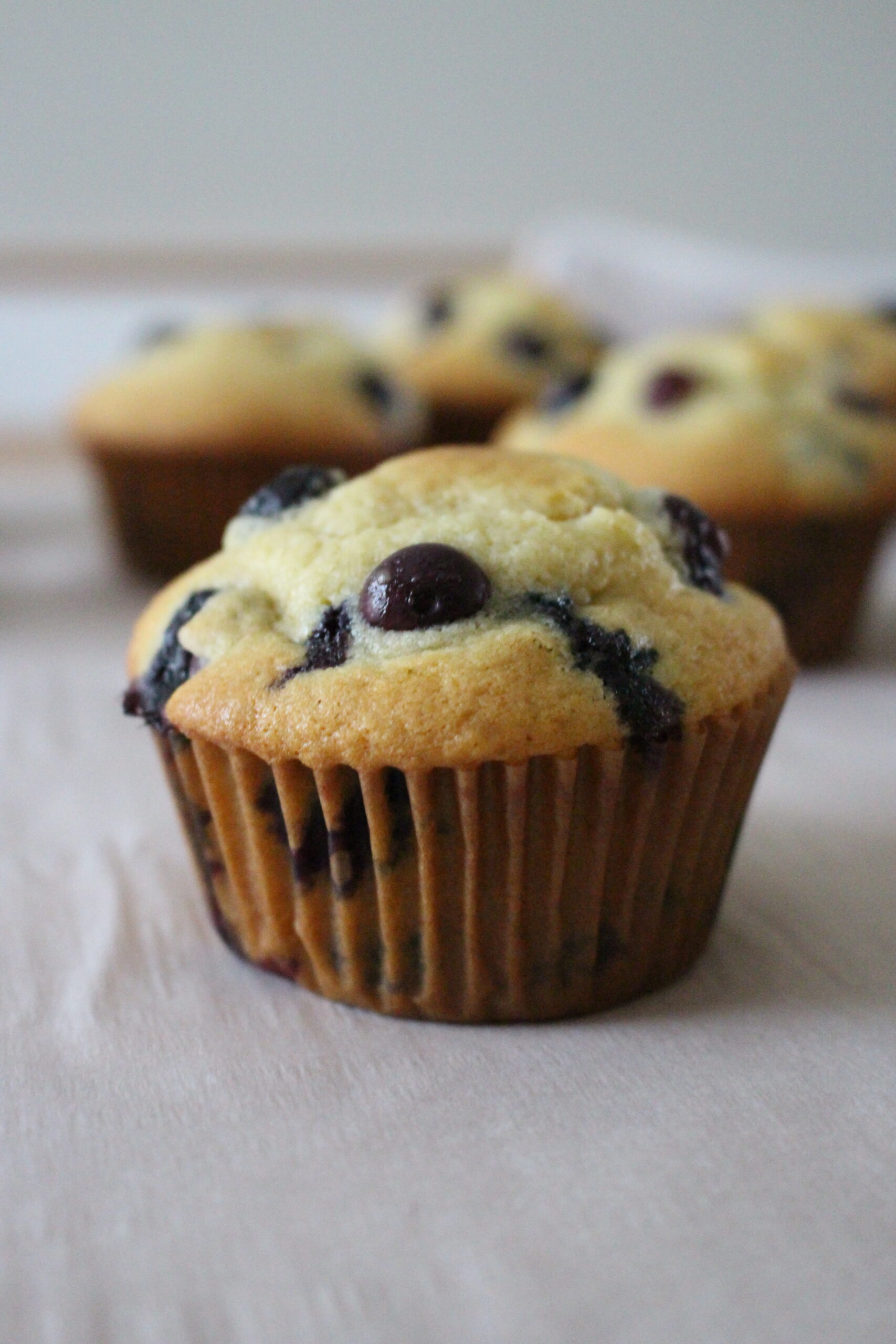 Blueberry Muffins