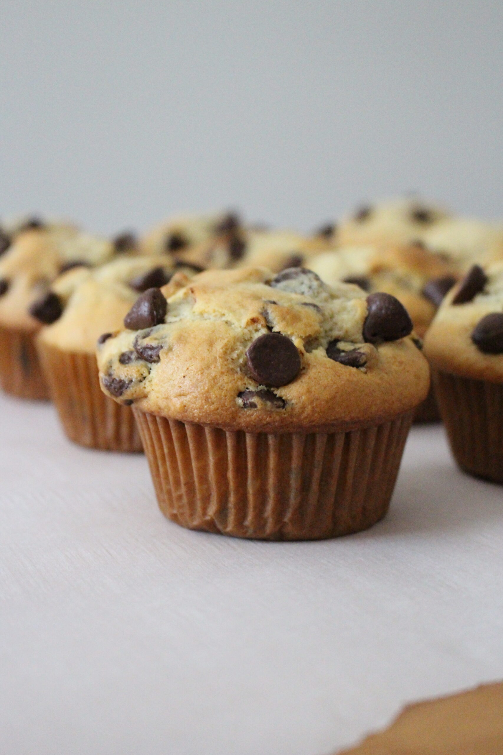 Chocolate Chip Muffins