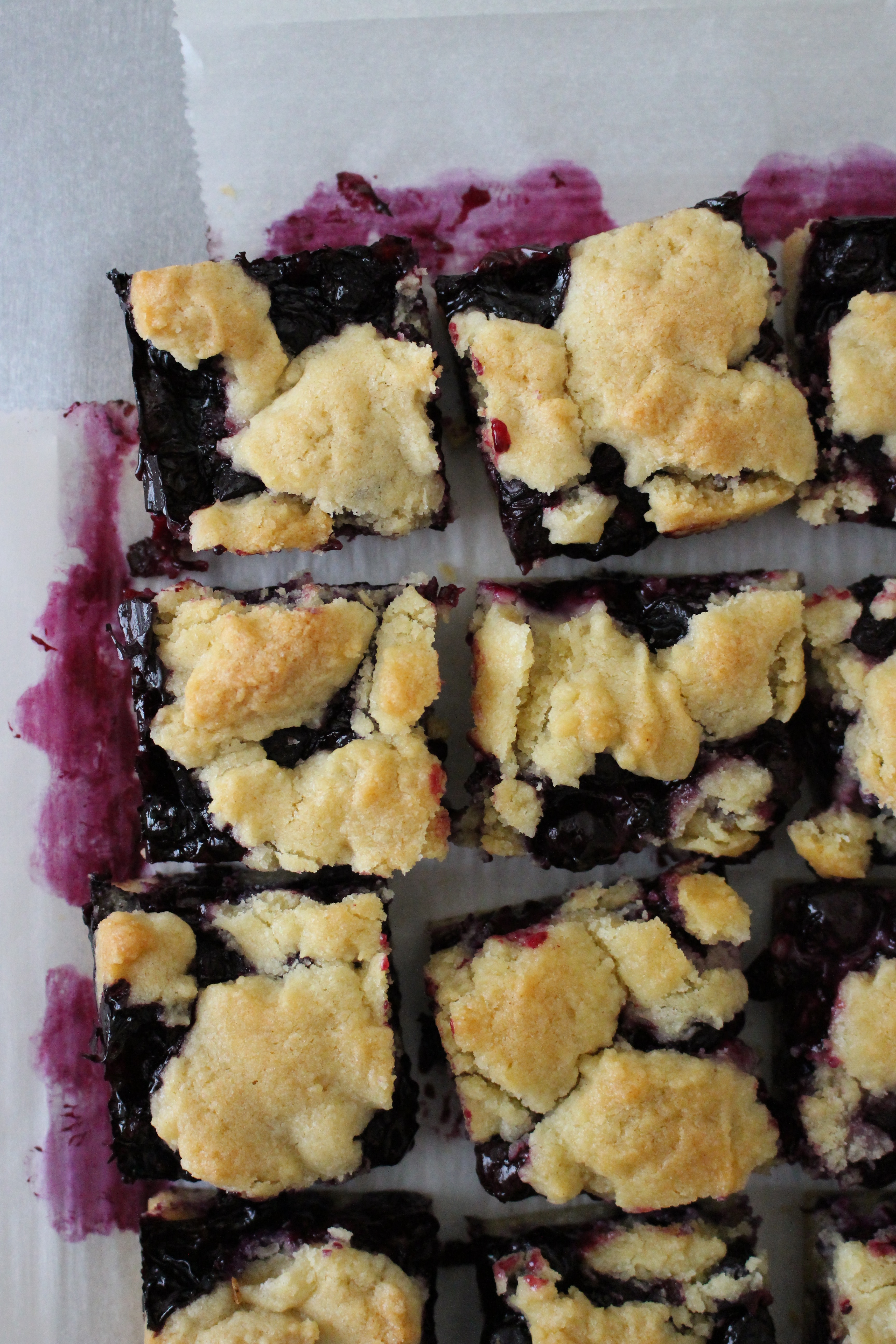 Blueberry Crumb Bars