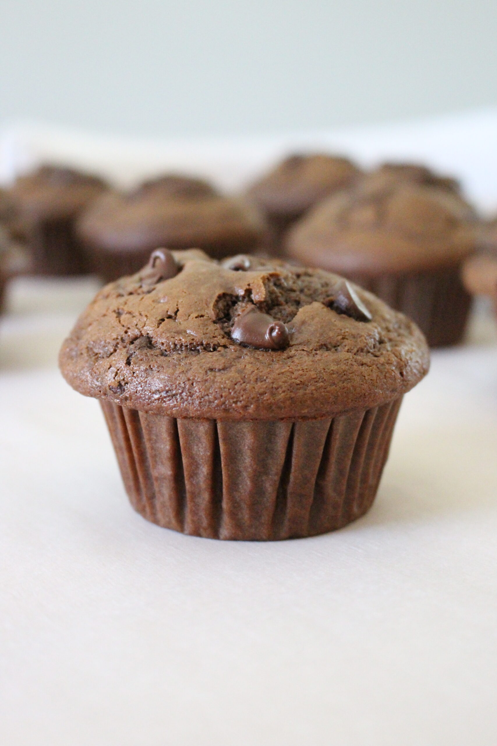 Double Chocolate Muffins